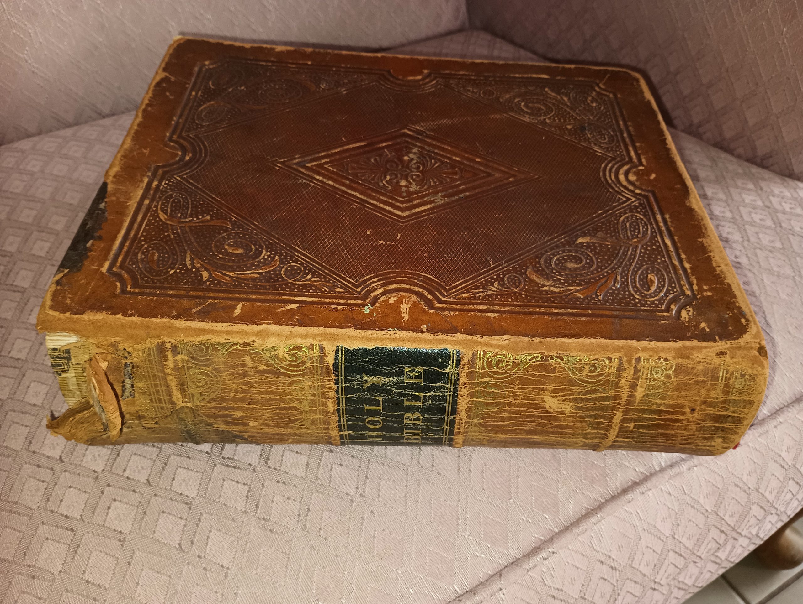 Family Bible of Amy Stone and John Bradshaw